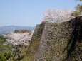 春高楼の花の宴