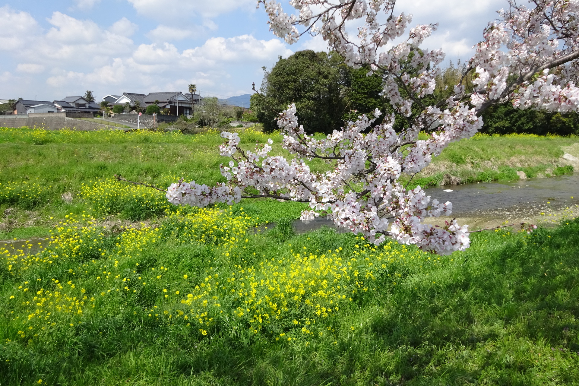 日本の風景 うららかな春景色 壁紙19x1280 壁紙館