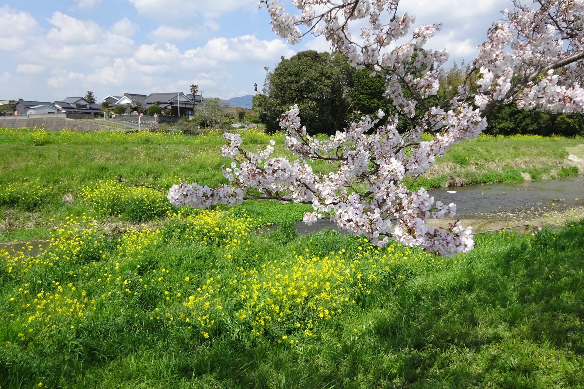 日本の風景 うららかな春景色 壁紙19x1280 壁紙館 日本の風景 うららかな春景色 壁紙19x1280 壁紙館
