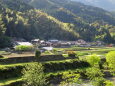 山里の春景色