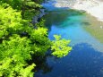 清流銚子川と青紅葉
