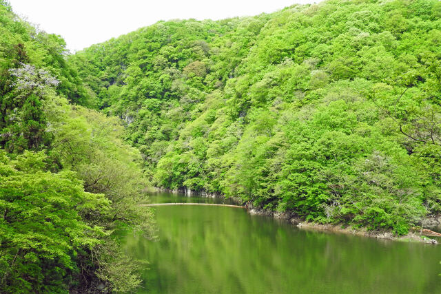 新緑 帝釈峡