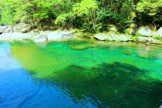 新緑の魚飛渓谷