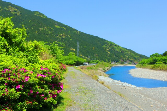 新緑の清流銚子川