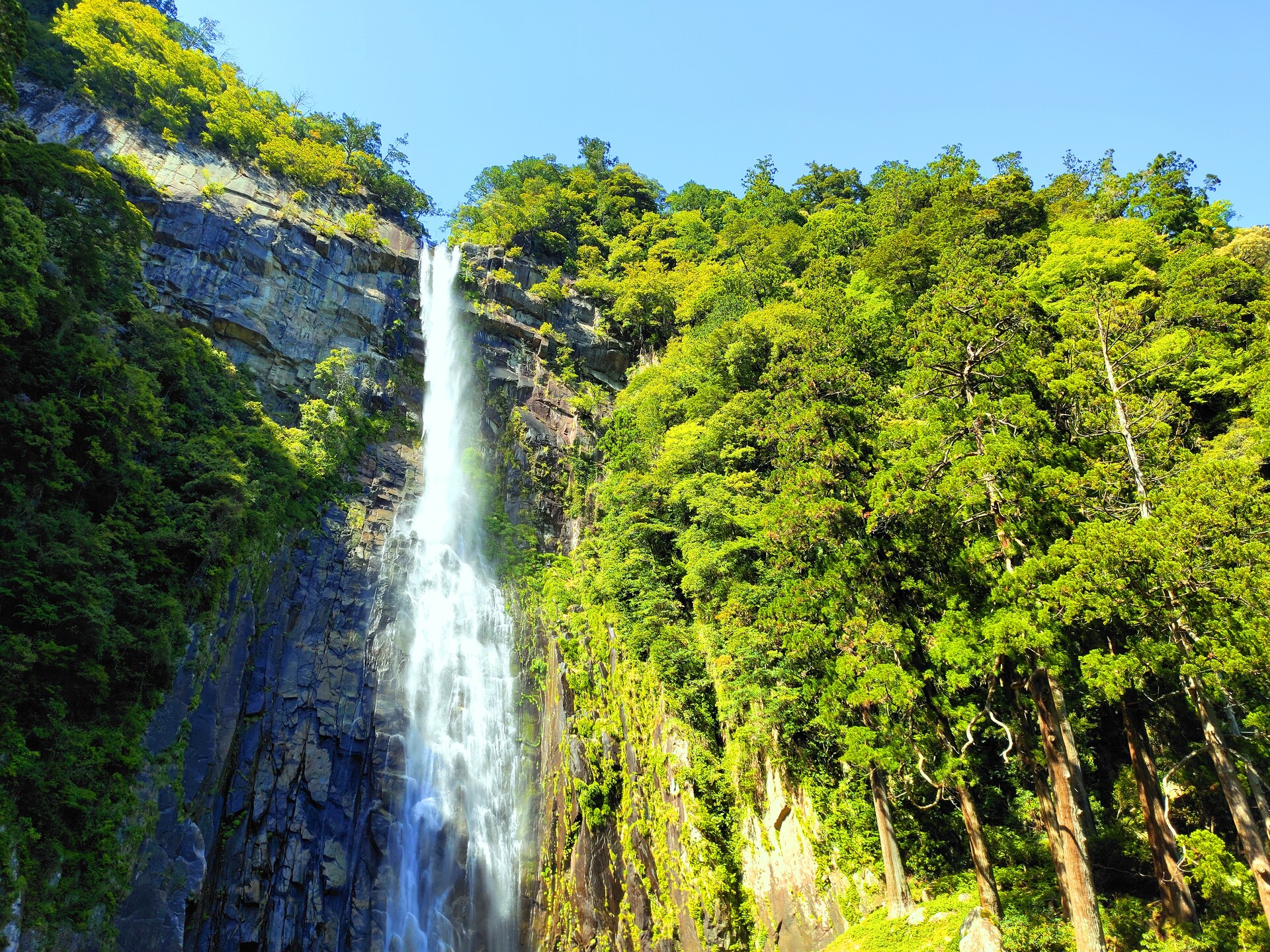 日本の風景 新緑の那智の滝 壁紙19x1440 壁紙館