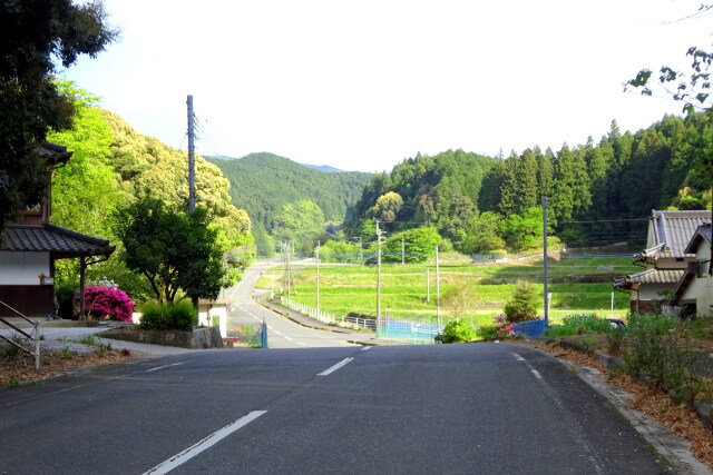 山間部の春景色