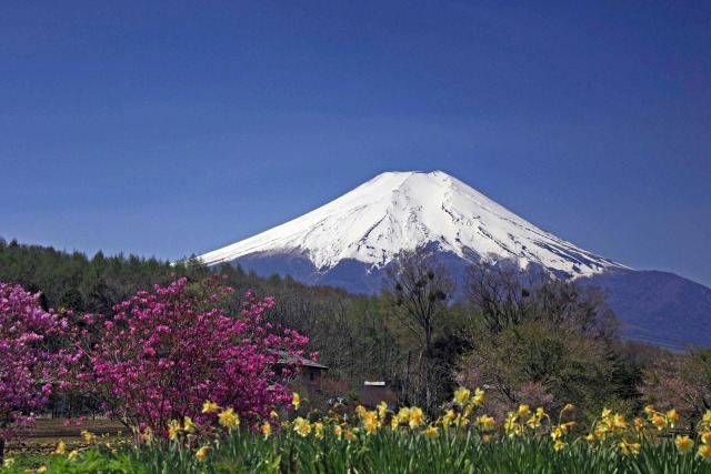 忍野の富士山