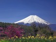 忍野の富士山