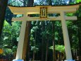 新緑の飛瀧神社