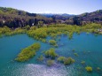 燃ゆる新緑と煌めく湖面