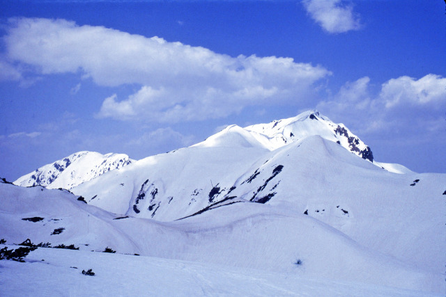 春の奥大日岳～1988年
