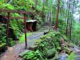 梅雨の熊野古道