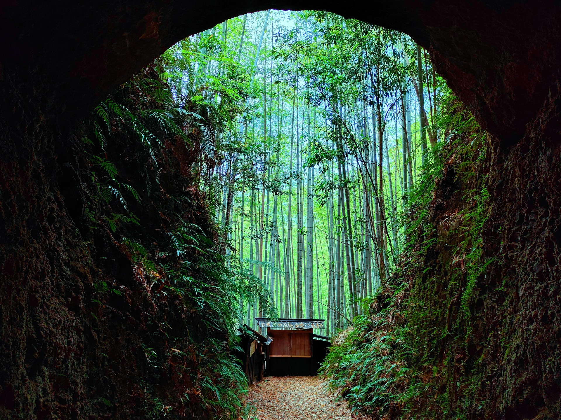 日本の風景 トンネルから竹林 壁紙19x1440 壁紙館