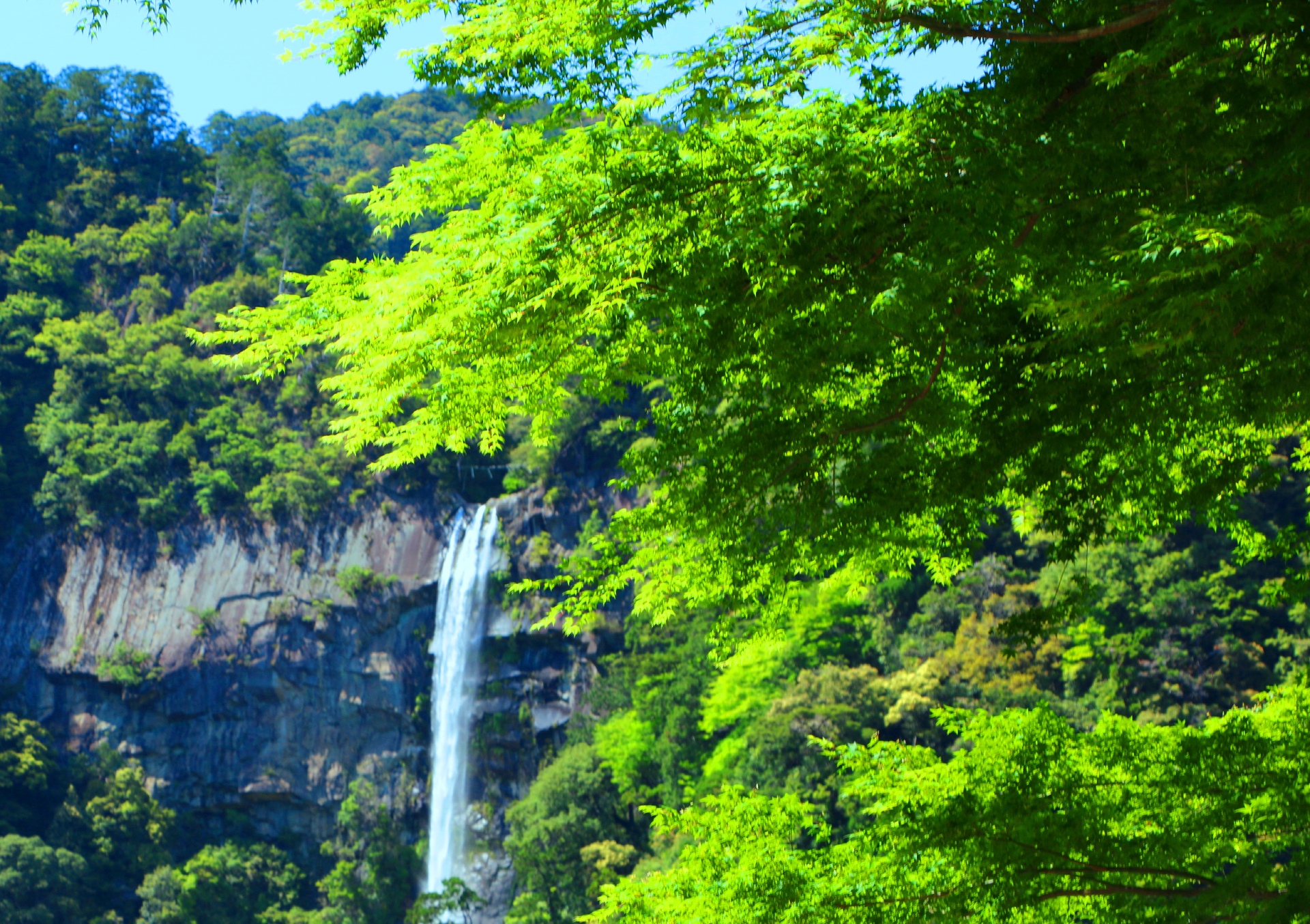 日本の風景 新緑の那智の滝 壁紙19x1354 壁紙館