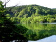 新緑の山の湖