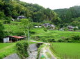 山村梅雨の季節