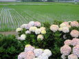 RndList[3]