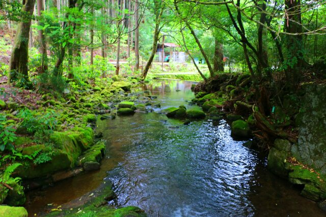 初夏の渓谷