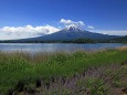 夏の富士山