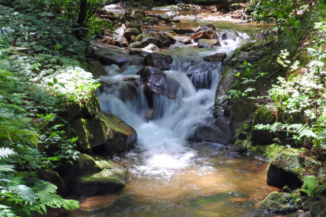 渓流 夏 木陰 2