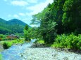 夏の清流