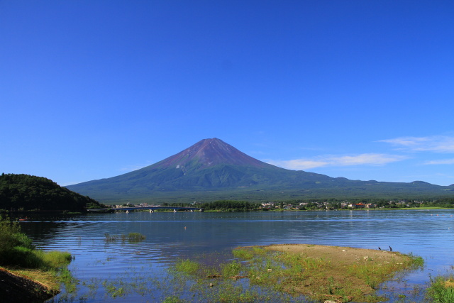 夏の富士山