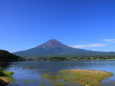 夏の富士山