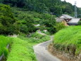 山村の細道