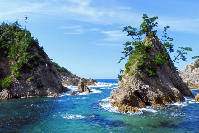 山陰海岸 夏 岩と松 2