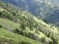 登山道の景色