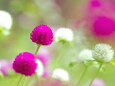 RndList[3]