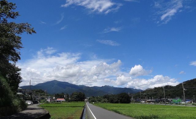 大山(阿夫利山)