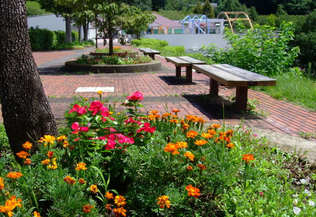 花のある風景