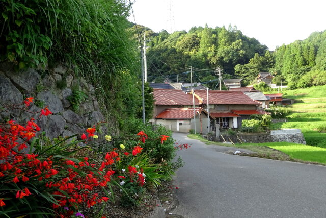 花が咲いている山村の道