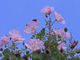 RndList[3]