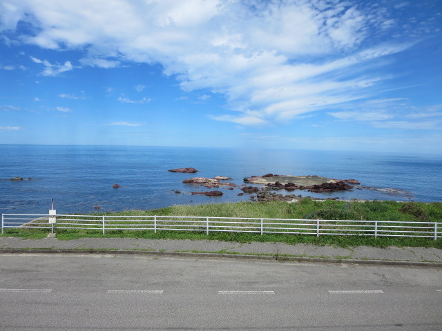 蛙 空の青さを知る 2021年