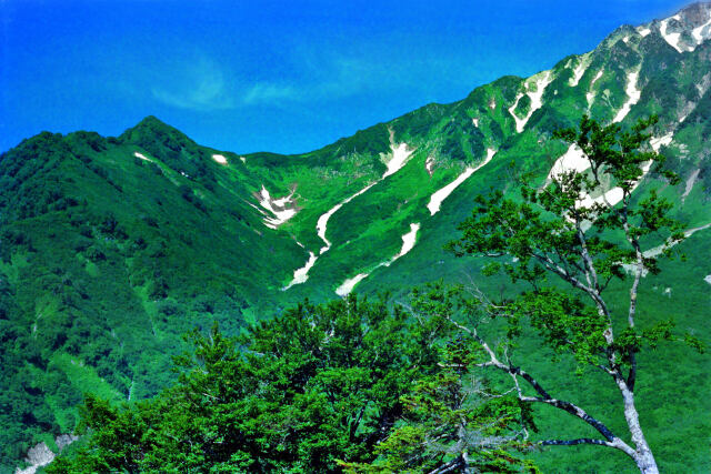 東一ノ越～1979年