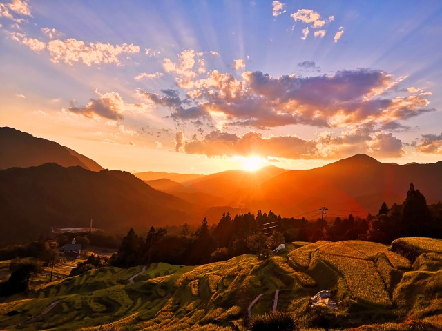 夕暮れの棚田