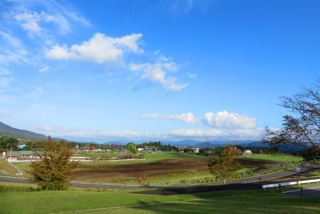 高原 秋の風 11