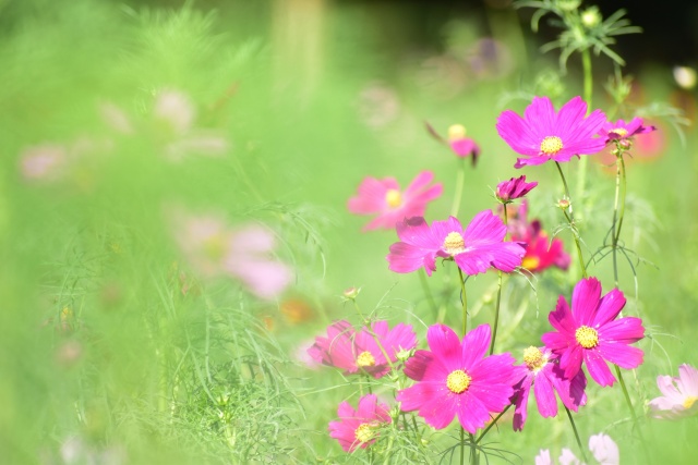 アイコンのスペース空けました