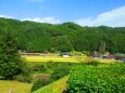 奥飛騨秋の里山