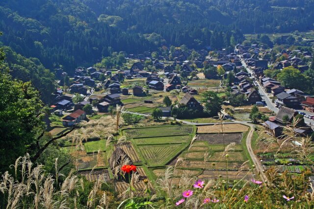 秋の白川郷