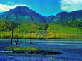 焼岳と大正池～1975年