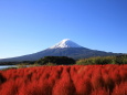 秋の風景