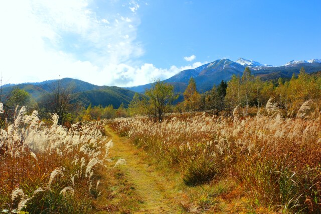 乗鞍高原秋