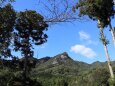 登山道からの景色