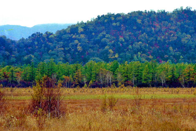 戦場ヶ原～1982年・2