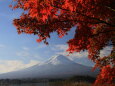 富士山にもみじ