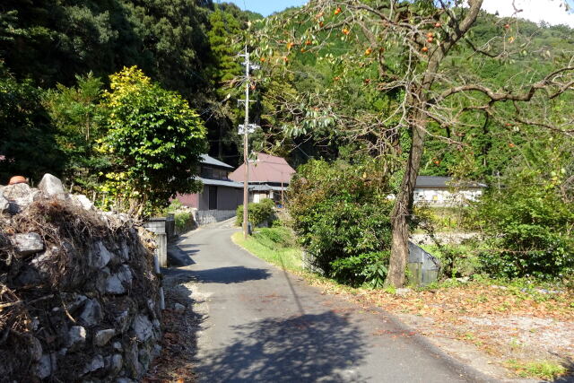 山村を通る道