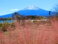 富士山秋